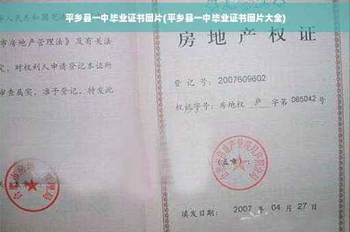 平乡县一中毕业证书图片(平乡县一中毕业证书图片大全)