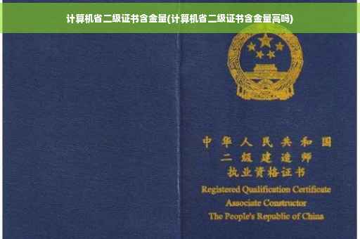计算机省二级证书含金量(计算机省二级证书含金量高吗)