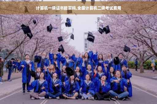 计算机一级证书能买吗,全国计算机二级考试费用