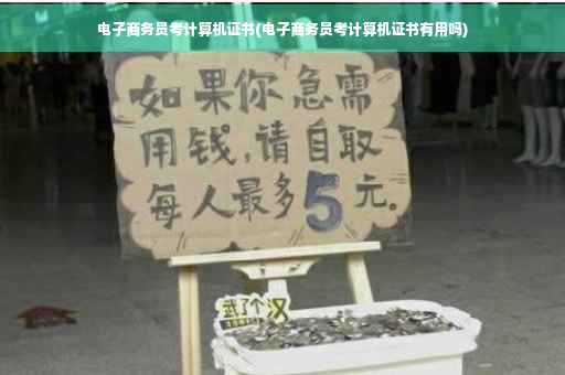 电子商务员考计算机证书(电子商务员考计算机证书有用吗)