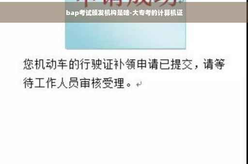 bap考试颁发机构是啥-大专考的计算机证