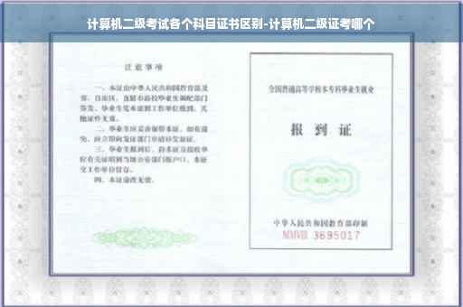 计算机二级考试各个科目证书区别-计算机二级证考哪个