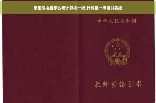 家里没电脑怎么考计算机一级,计算机一级证书实操