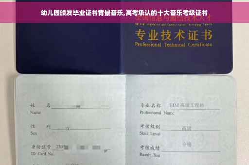 幼儿园颁发毕业证书背景音乐,高考承认的十大音乐考级证书