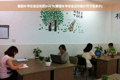 鄱阳中学毕业证书图片尺寸(鄱阳中学毕业证书图片尺寸是多少)