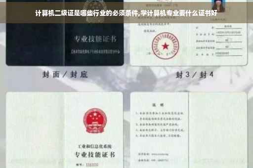 计算机二级证是哪些行业的必须条件,学计算机专业要什么证书好
