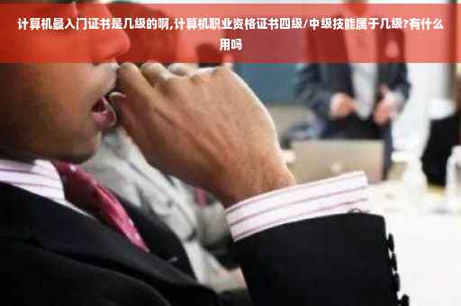 计算机最入门证书是几级的啊,计算机职业资格证书四级/中级技能属于几级?有什么用吗