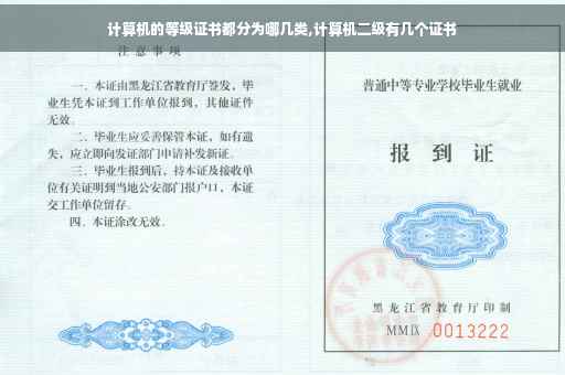 计算机的等级证书都分为哪几类,计算机二级有几个证书