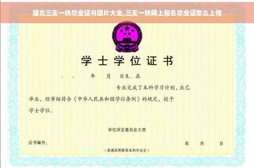 湖北三支一扶毕业证书图片大全,三支一扶网上报名毕业证怎么上传