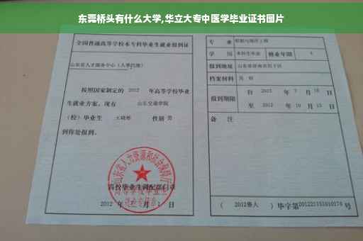 东莞桥头有什么大学,华立大专中医学毕业证书图片