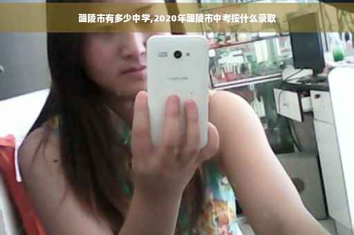 醴陵市有多少中学,2020年醴陵市中考按什么录取
