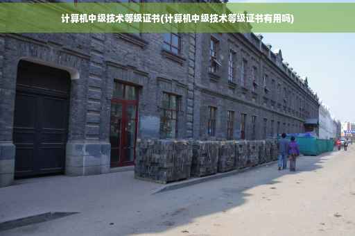 计算机中级技术等级证书(计算机中级技术等级证书有用吗)