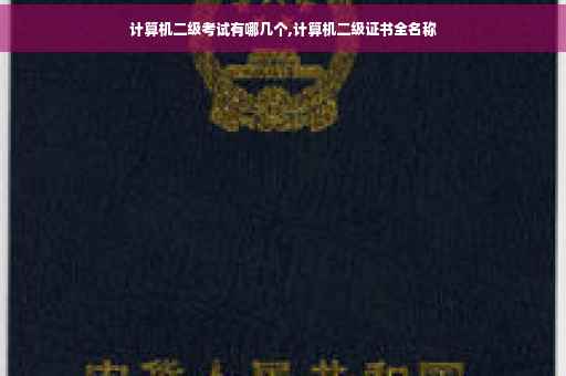 计算机二级考试有哪几个,计算机二级证书全名称