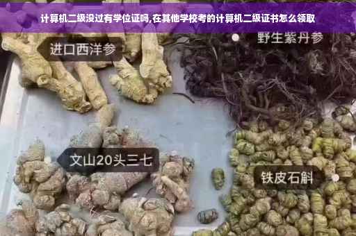 计算机二级没过有学位证吗,在其他学校考的计算机二级证书怎么领取