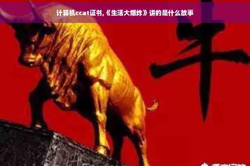 计算机ccat证书,《生活大爆炸》讲的是什么故事