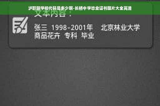 泸职院学校代码是多少啊-长桥中学毕业证书图片大全高清