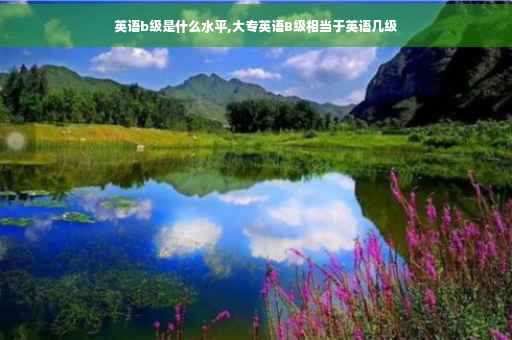 英语b级是什么水平,大专英语B级相当于英语几级