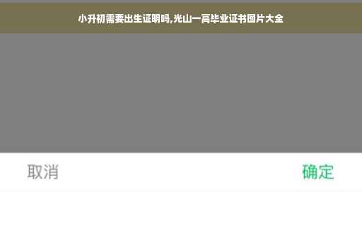 小升初需要出生证明吗,光山一高毕业证书图片大全