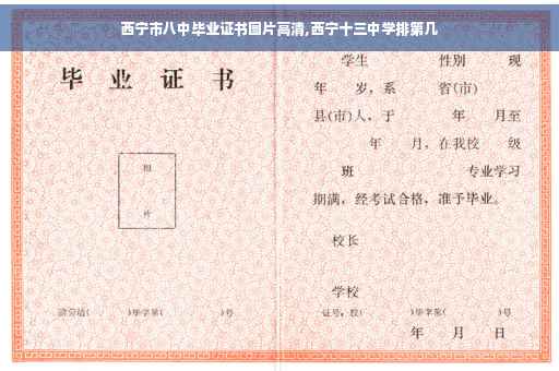 西宁市八中毕业证书图片高清,西宁十三中学排第几