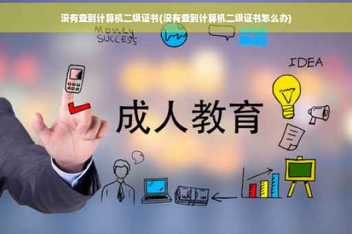 没有查到计算机二级证书(没有查到计算机二级证书怎么办)