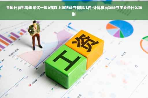 全国计算机等级考试一级b或以上级别证书有哪几种-计算机高级证书主要是什么级别