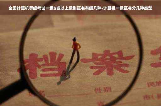 全国计算机等级考试一级b或以上级别证书有哪几种-计算机一级证书分几种类型
