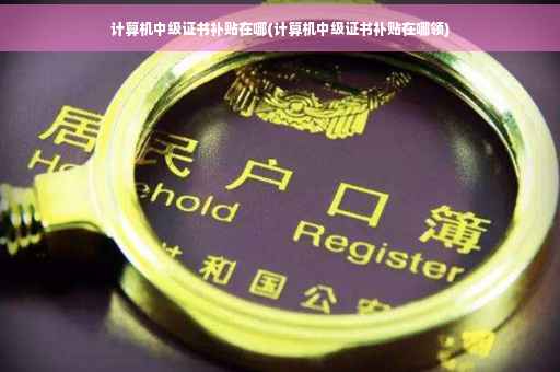 计算机中级证书补贴在哪(计算机中级证书补贴在哪领)