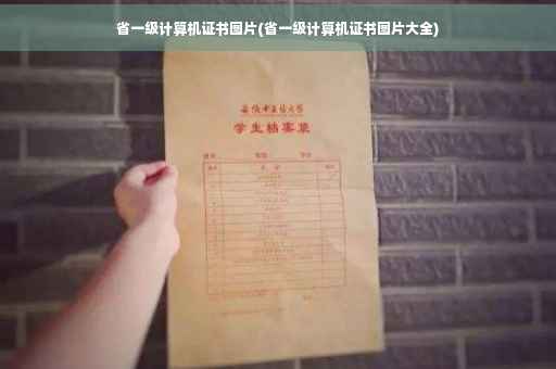 省一级计算机证书图片(省一级计算机证书图片大全)