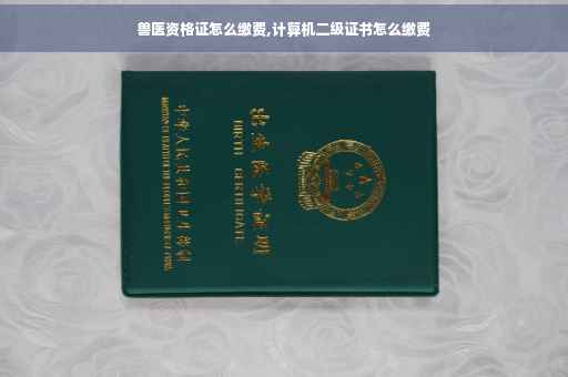 兽医资格证怎么缴费,计算机二级证书怎么缴费