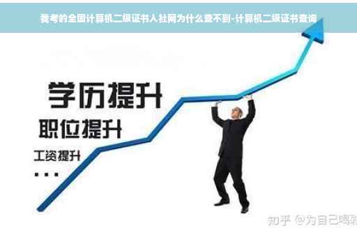 我考的全国计算机二级证书人社网为什么查不到-计算机二级证书查询