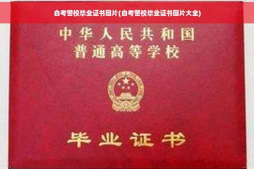 自考警校毕业证书图片(自考警校毕业证书图片大全)