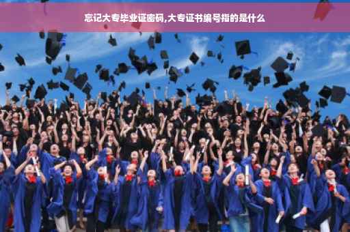 忘记大专毕业证密码,大专证书编号指的是什么