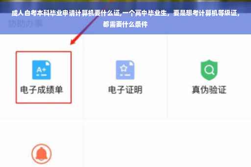 成人自考本科毕业申请计算机要什么证,一个高中毕业生，要是想考计算机等级证，都需要什么条件