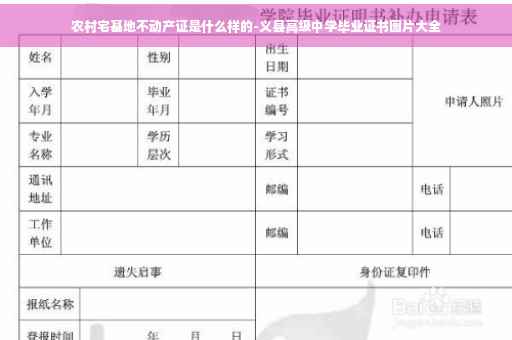 农村宅基地不动产证是什么样的-义县高级中学毕业证书图片大全