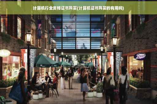 计算机行业资格证书购买(计算机证书购买的有用吗)