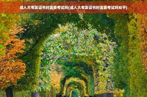 成人大专发证书时需要考试吗(成人大专发证书时需要考试吗知乎)