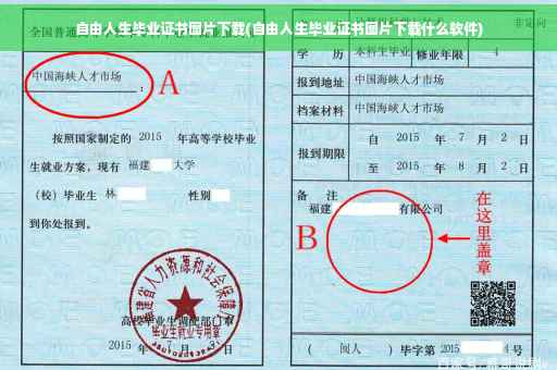 自由人生毕业证书图片下载(自由人生毕业证书图片下载什么软件)