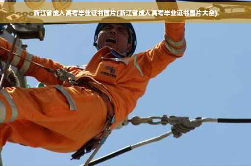 浙江省成人高考毕业证书图片(浙江省成人高考毕业证书图片大全)