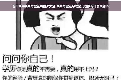 四川中学高中毕业证书图片大全,高中毕业证字号是几位数有什么规律吗