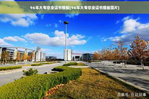 96年大专毕业证书模板(96年大专毕业证书模板图片)