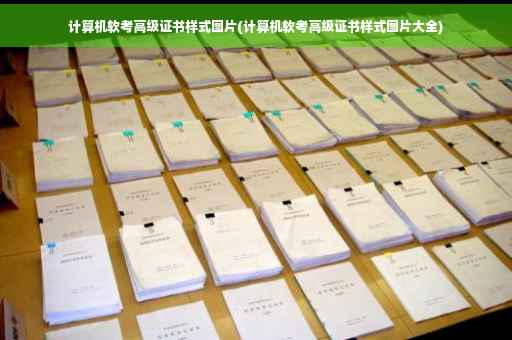 计算机软考高级证书样式图片(计算机软考高级证书样式图片大全)