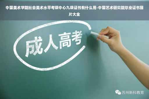 中国美术学院社会美术水平考级中心九级证书有什么用-中国艺术研究院毕业证书图片大全