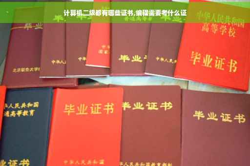 计算机二级都有哪些证书,编程需要考什么证