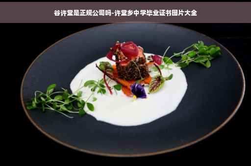 谷许堂是正规公司吗-许堂乡中学毕业证书图片大全
