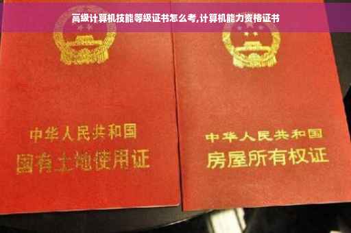 高级计算机技能等级证书怎么考,计算机能力资格证书