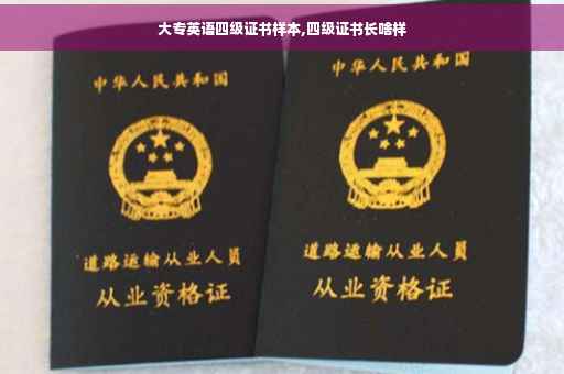 大专英语四级证书样本,四级证书长啥样