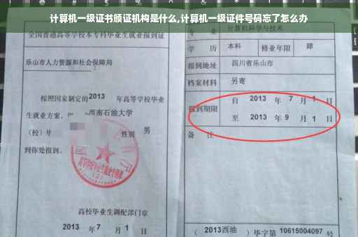 计算机一级证书颁证机构是什么,计算机一级证件号码忘了怎么办