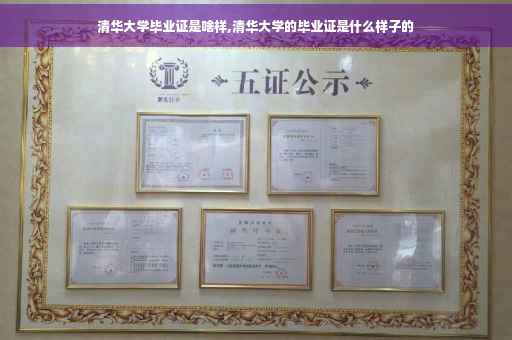 清华大学毕业证是啥样,清华大学的毕业证是什么样子的
