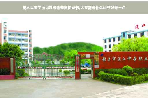 成人大专学历可以考哪些资格证书,大专需考什么证书好考一点