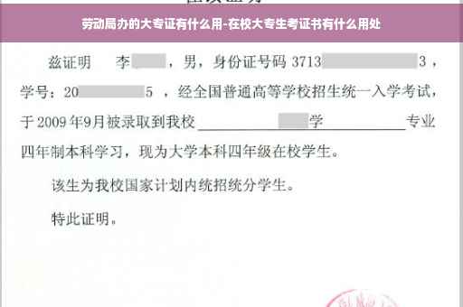 劳动局办的大专证有什么用-在校大专生考证书有什么用处
